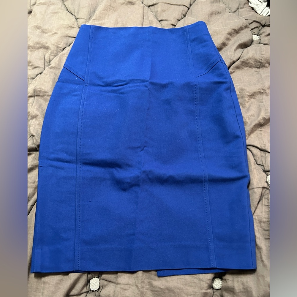 Express Blue Pencil Skirt